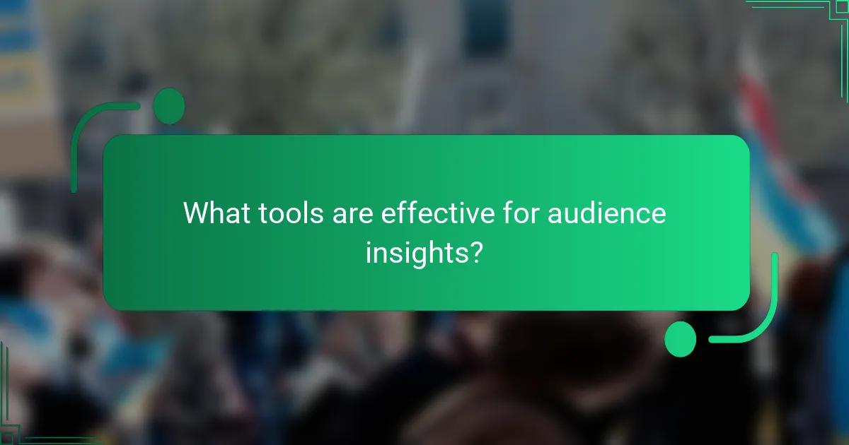 What tools are effective for audience insights?